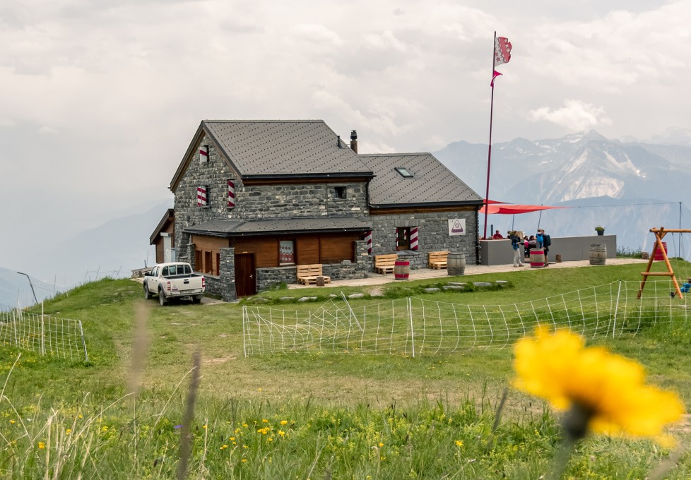 Cabane IMG 8478 1 WEB