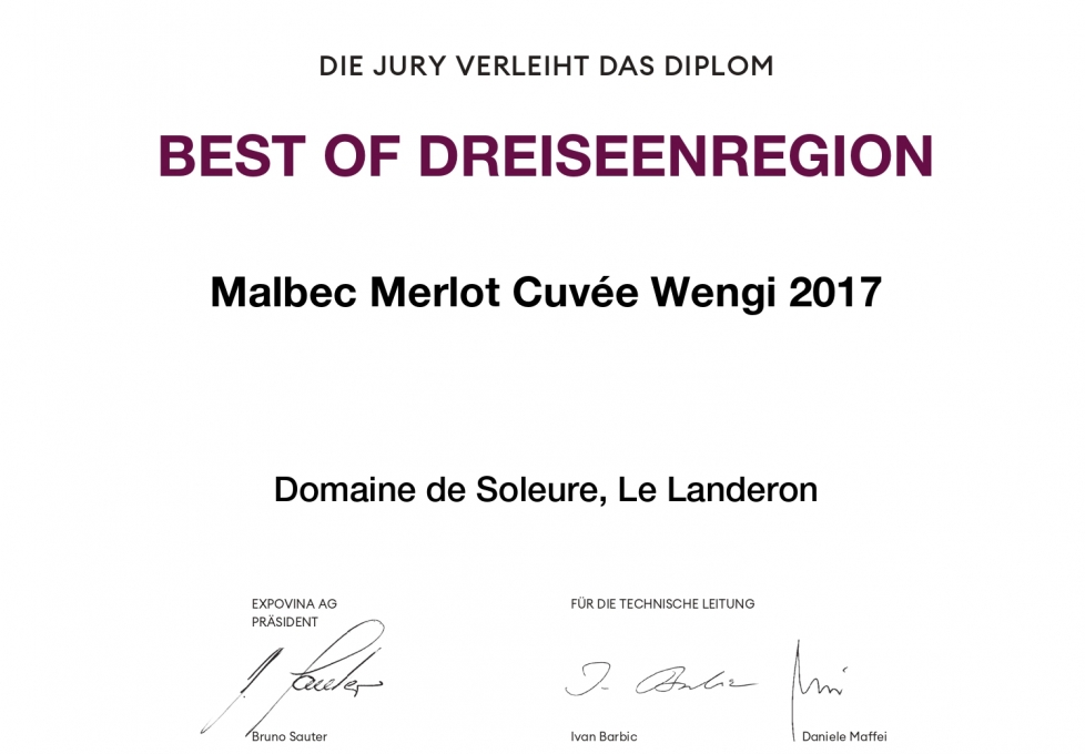 Domaine de Soleure Le Landeron BEST OF DREISEENREGION Malbec Merlot Cuvee Wengi page 0001