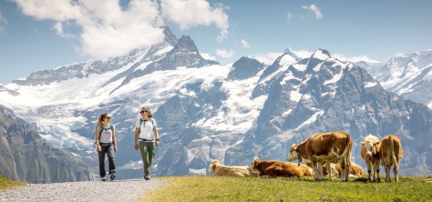 GrindelwaldWandern Bachalpsee klein